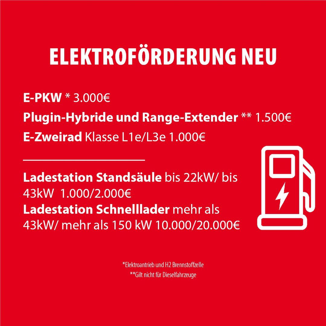 Elektroförderungen 2019