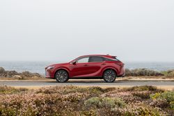 78241-rxmatadorredmica5677