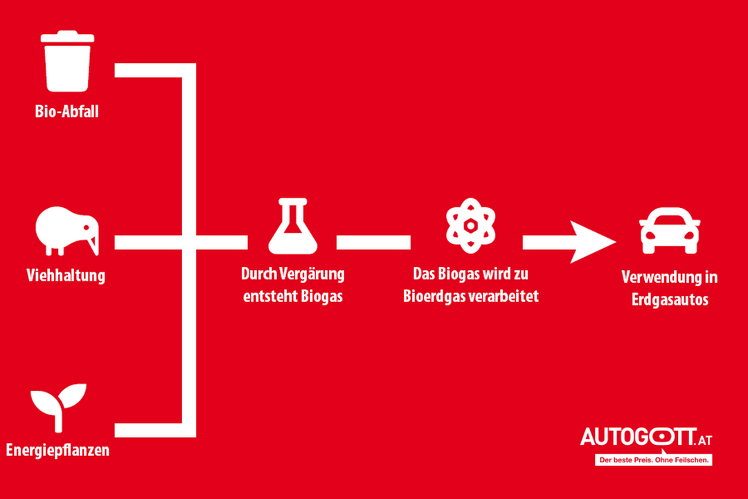 Herstellung von Bioerdgas