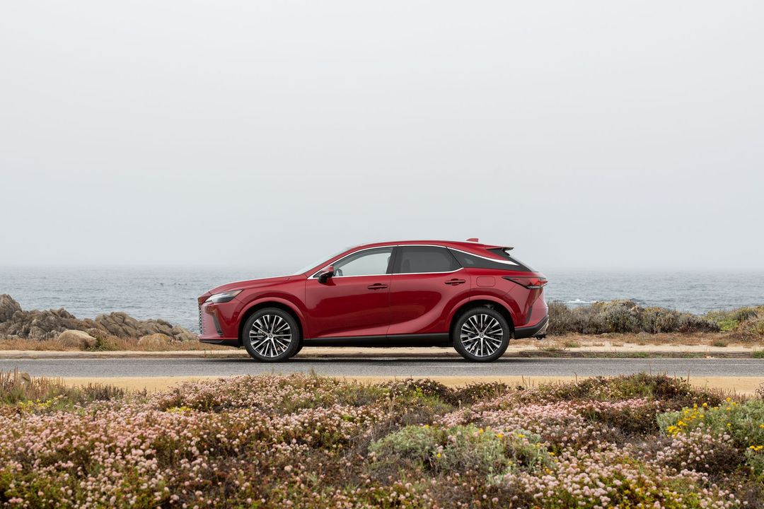 78241-rxmatadorredmica5677