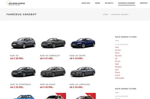 auto-import-schopper-angebot