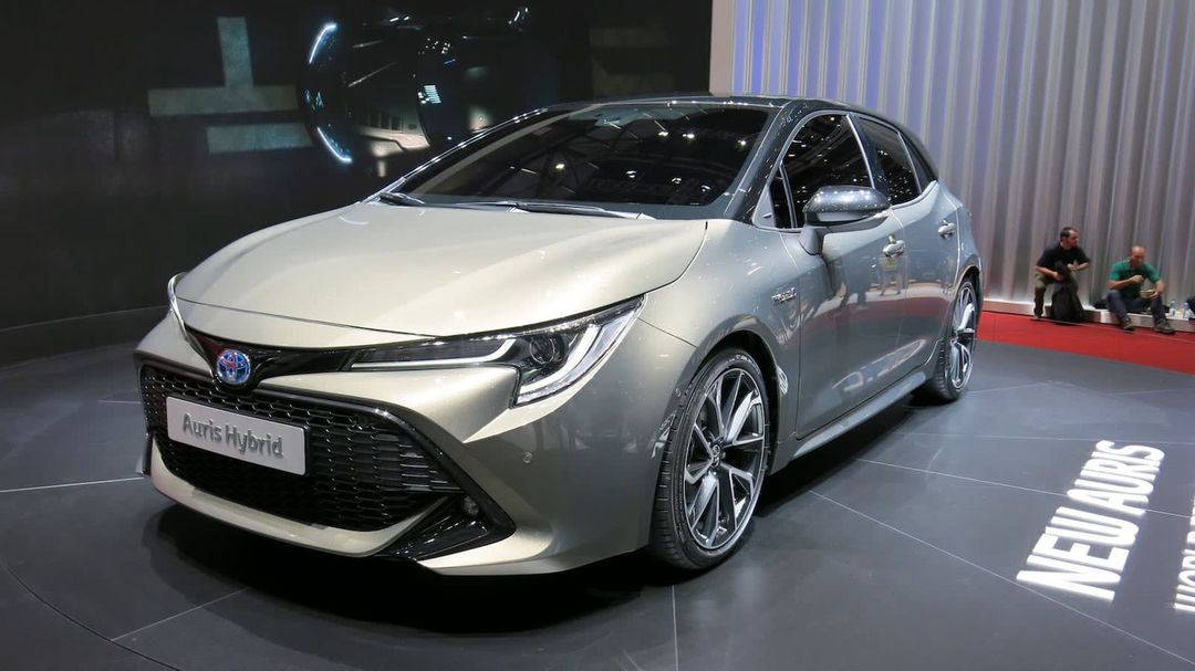 auris