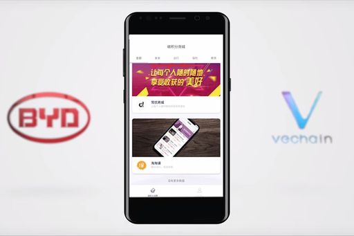 Screenshot Youtube Video BYD Carbon Credits App