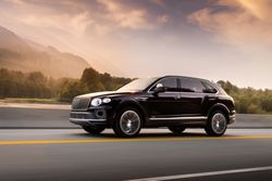 Bentayga EWB - Exquisite - Damson - 1