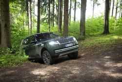 Range_Rover_Belgravia_Green_D350_Autobiography_7927