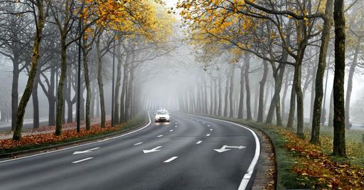 Herbst